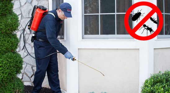 Orta Gümüşkurt İlaçlama böcek ilaçlama ve haşere kontrolü — ilaclama-tr.com
